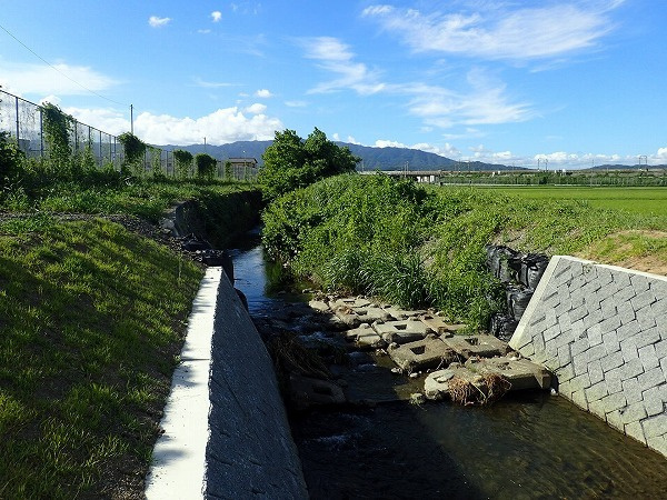 p7302338.jpg